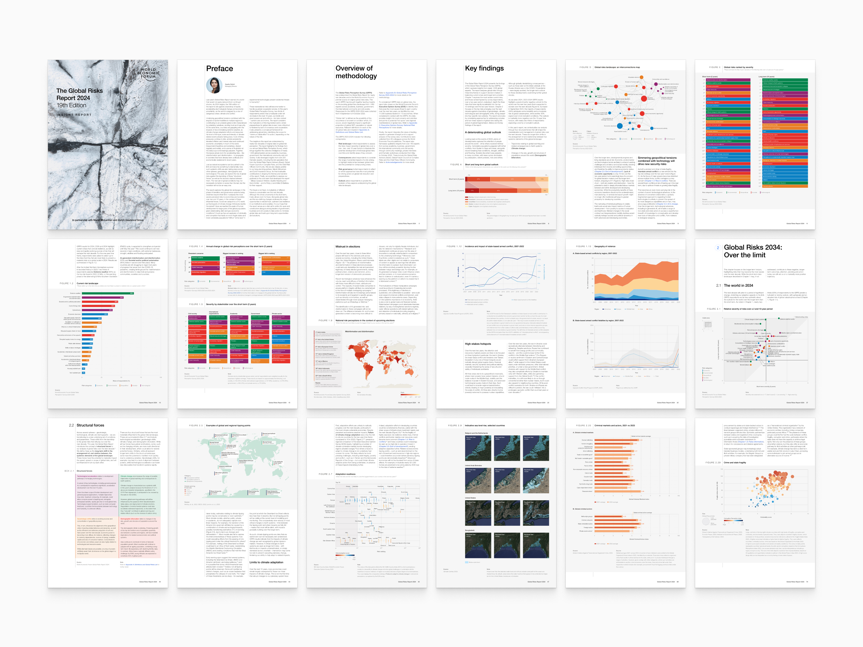 World Economic Forum, Global Risks Report samples